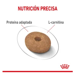 Royal Canin Mini Light Weight Care pienso para perros Sale