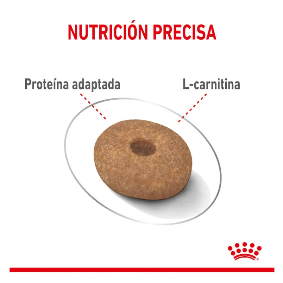Royal Canin Mini Light Weight Care pienso para perros Sale