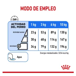 Royal Canin Mini Light Weight Care pienso para perros Sale
