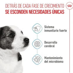 Royal Canin Mini Puppy pienso para perros Hot