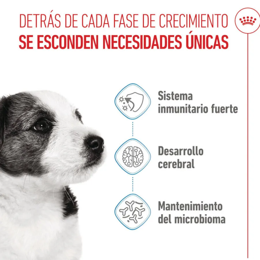 Royal Canin Mini Puppy pienso para perros Hot
