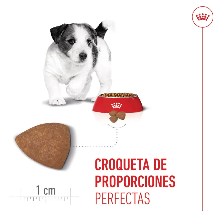 Royal Canin Mini Puppy pienso para perros Hot