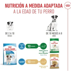 Royal Canin Mini Puppy pienso para perros Hot