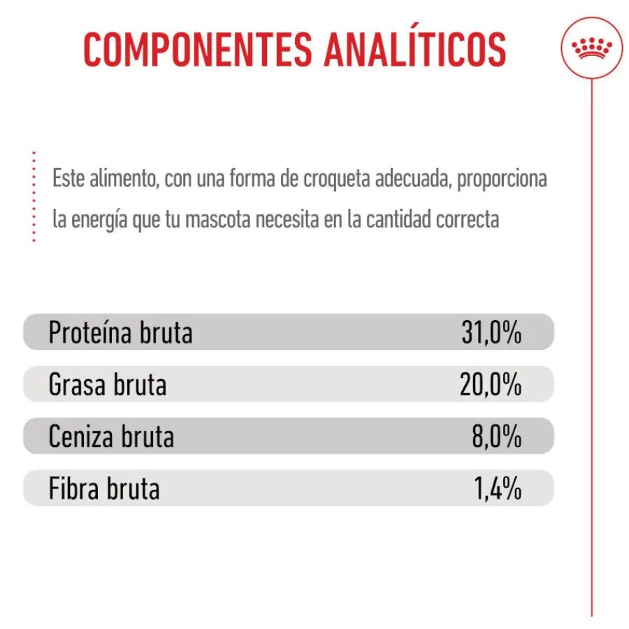 Royal Canin Mini Puppy pienso para perros Hot