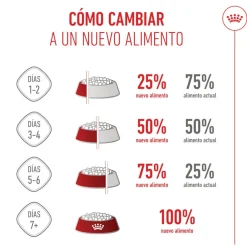 Royal Canin Mini Puppy pienso para perros Hot