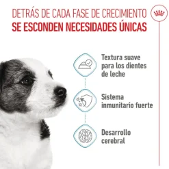 Royal Canin Mini Puppy sobre en salsa Discount