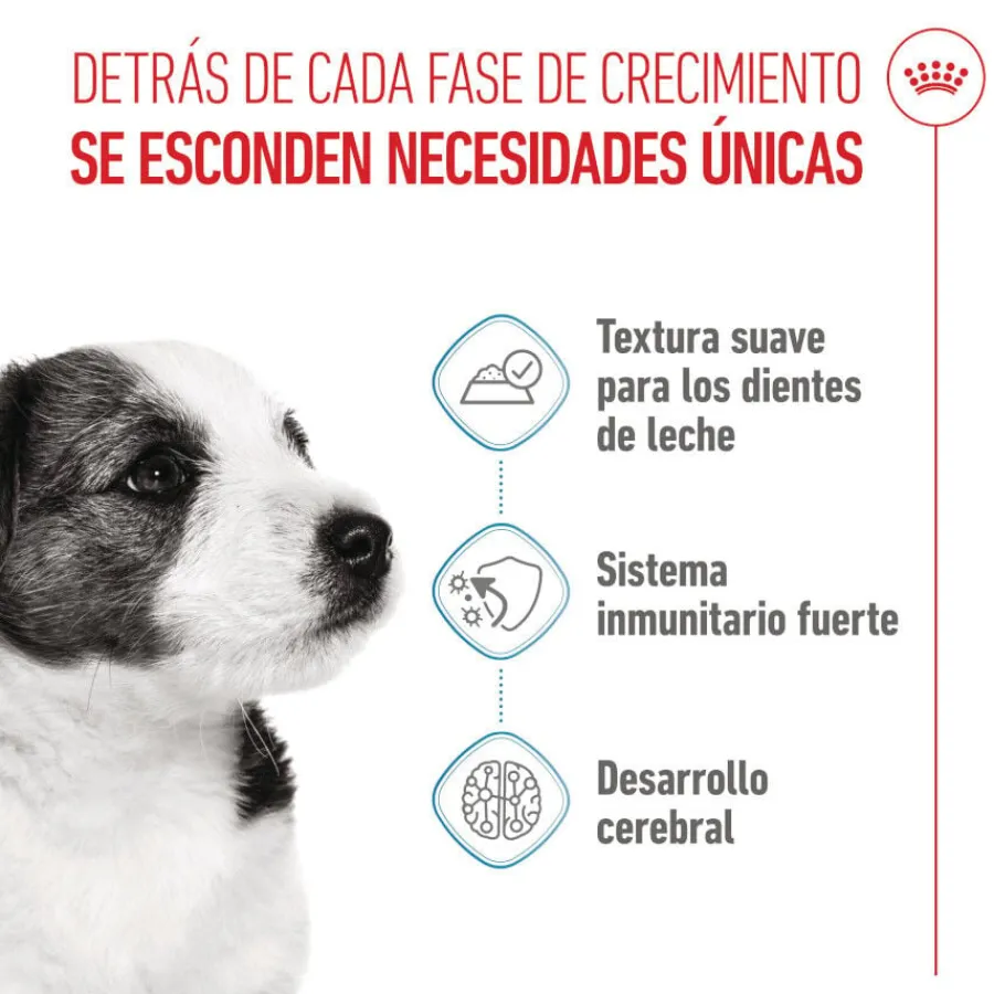 Royal Canin Mini Puppy sobre en salsa Discount