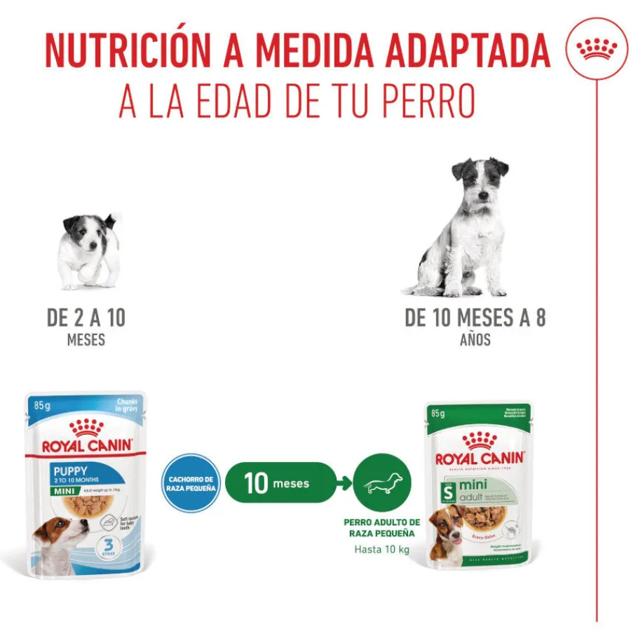 Royal Canin Mini Puppy sobre en salsa Discount