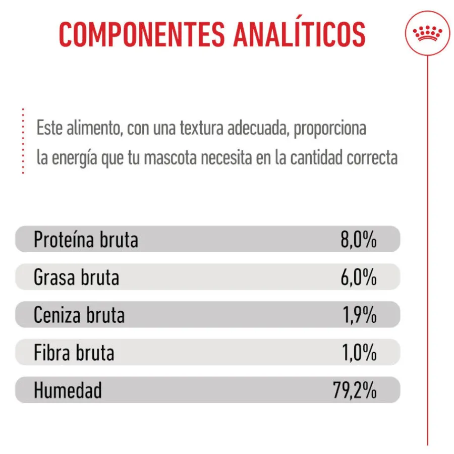 Royal Canin Mini Puppy sobre en salsa Discount