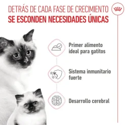 Royal Canin Mother & Baby mousse latas para gatos New