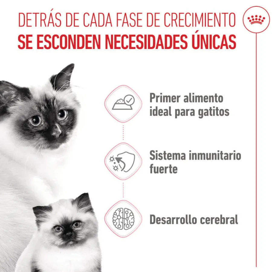 Royal Canin Mother & Baby mousse latas para gatos New