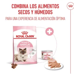 Royal Canin Mother & Baby mousse latas para gatos New