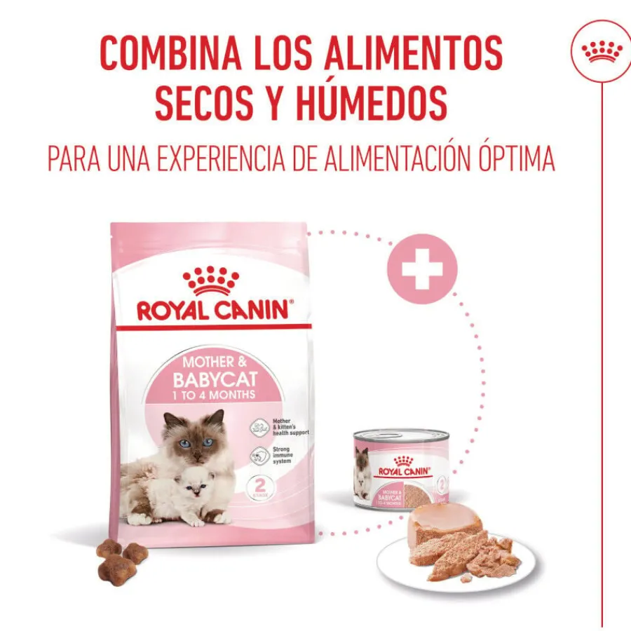 Royal Canin Mother & Baby mousse latas para gatos New