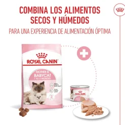 Royal Canin Mother & Baby mousse latas para gatos New
