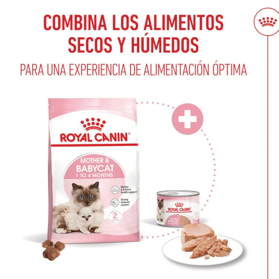 Royal Canin Mother & Baby mousse latas para gatos New
