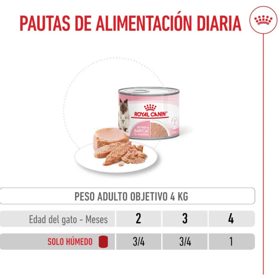 Royal Canin Mother & Baby mousse latas para gatos New