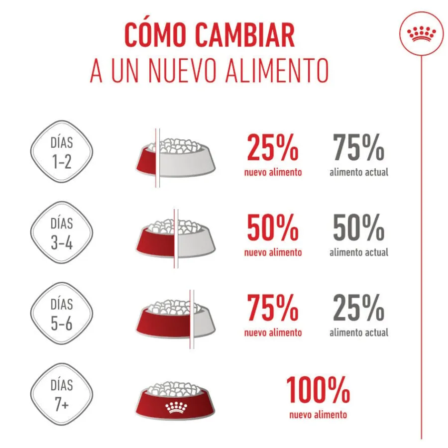 Royal Canin Mother & Baby mousse latas para gatos New