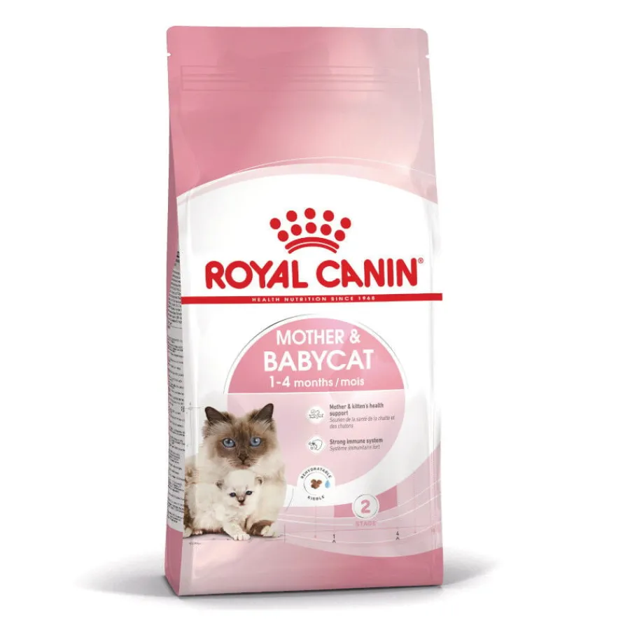 Royal Canin Mother & Babycat pienso para gatos Best