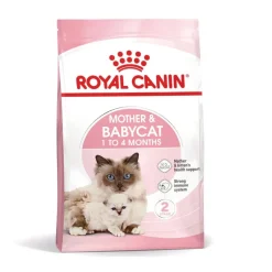 Royal Canin Mother & Babycat pienso para gatos Best