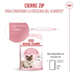 Royal Canin Mother & Babycat pienso para gatos Best