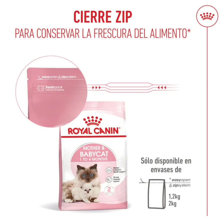 Royal Canin Mother & Babycat pienso para gatos Best
