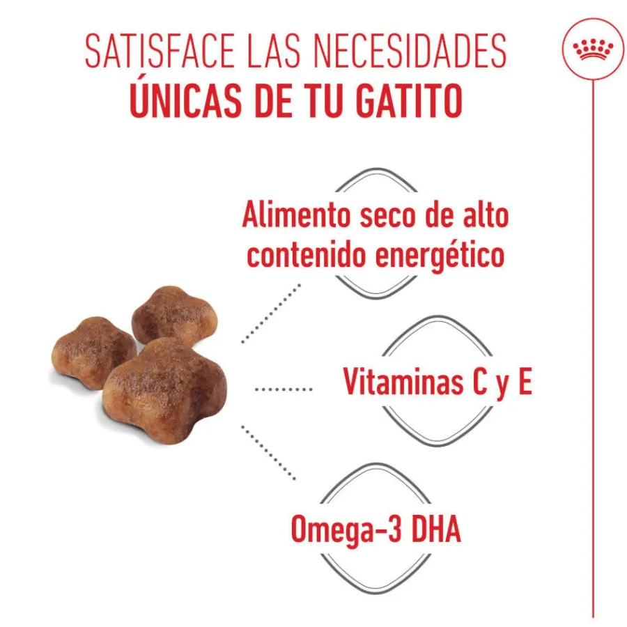 Royal Canin Mother & Babycat pienso para gatos Best