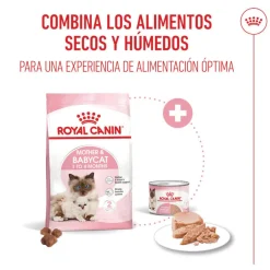 Royal Canin Mother & Babycat pienso para gatos Best