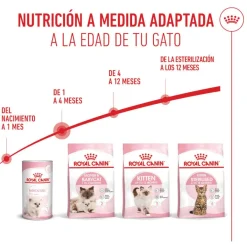 Royal Canin Mother & Babycat pienso para gatos Best