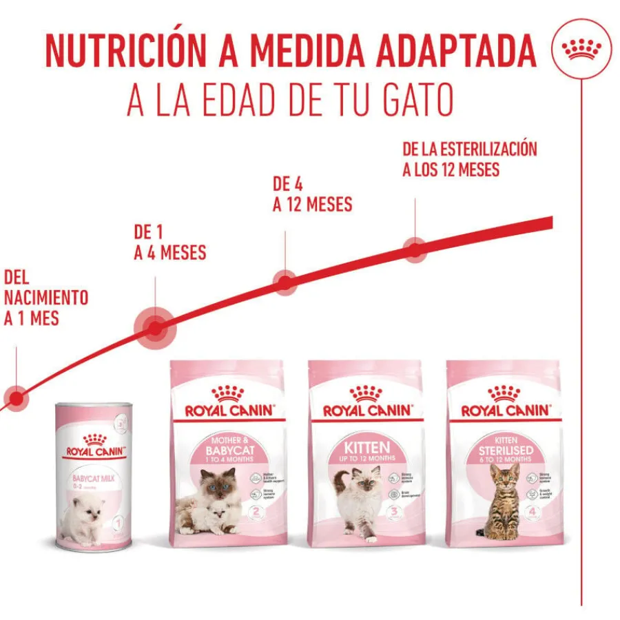 Royal Canin Mother & Babycat pienso para gatos Best