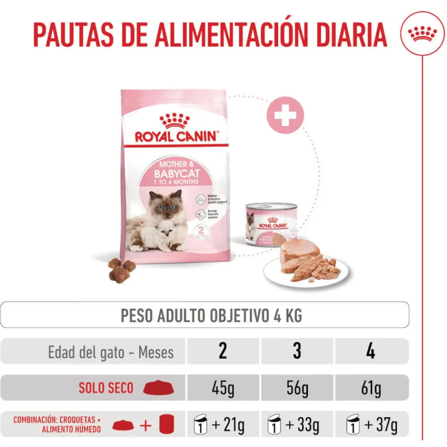 Royal Canin Mother & Babycat pienso para gatos Best