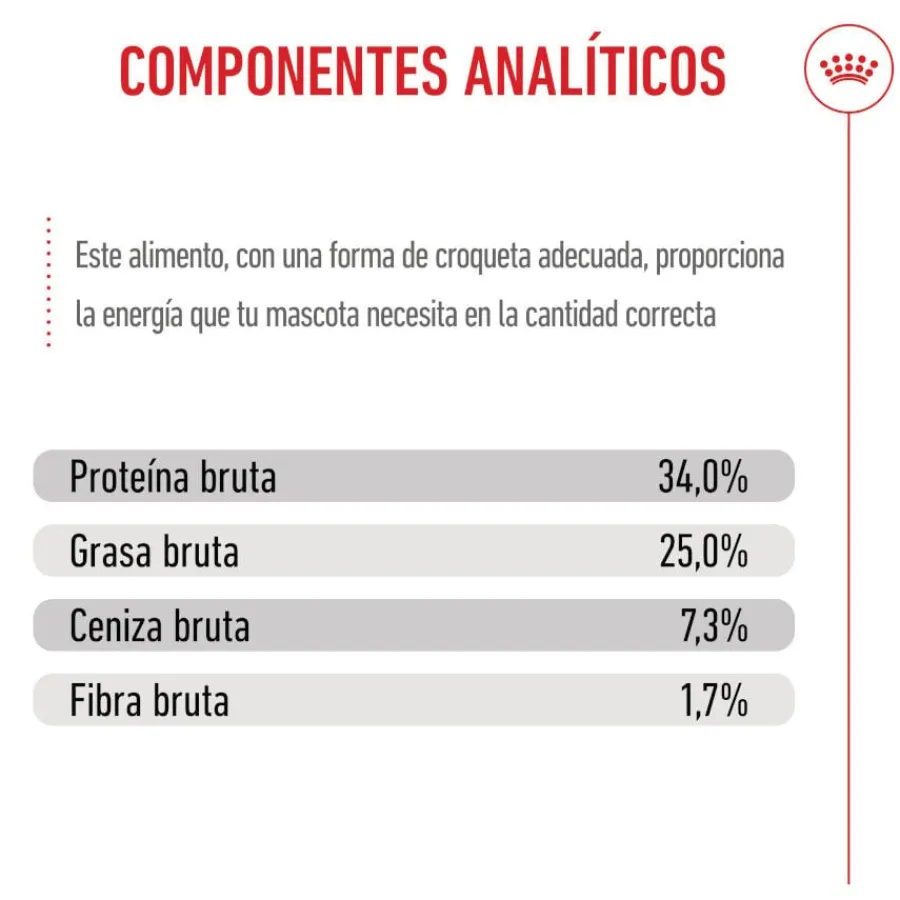 Royal Canin Mother & Babycat pienso para gatos Best