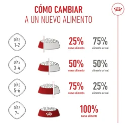 Royal Canin Mother & Babycat pienso para gatos Best