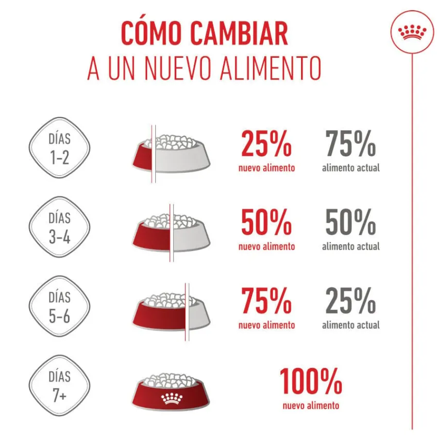 Royal Canin Mother & Babycat pienso para gatos Best