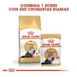 Royal Canin Persian pienso para gato adulto persa Hot