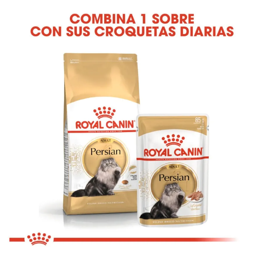 Royal Canin Persian pienso para gato adulto persa Hot