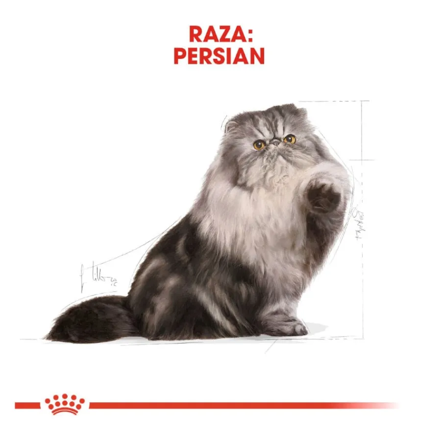 Royal Canin Persian pienso para gato adulto persa Hot