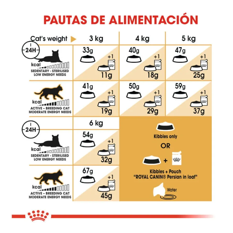 Royal Canin Persian pienso para gato adulto persa Hot