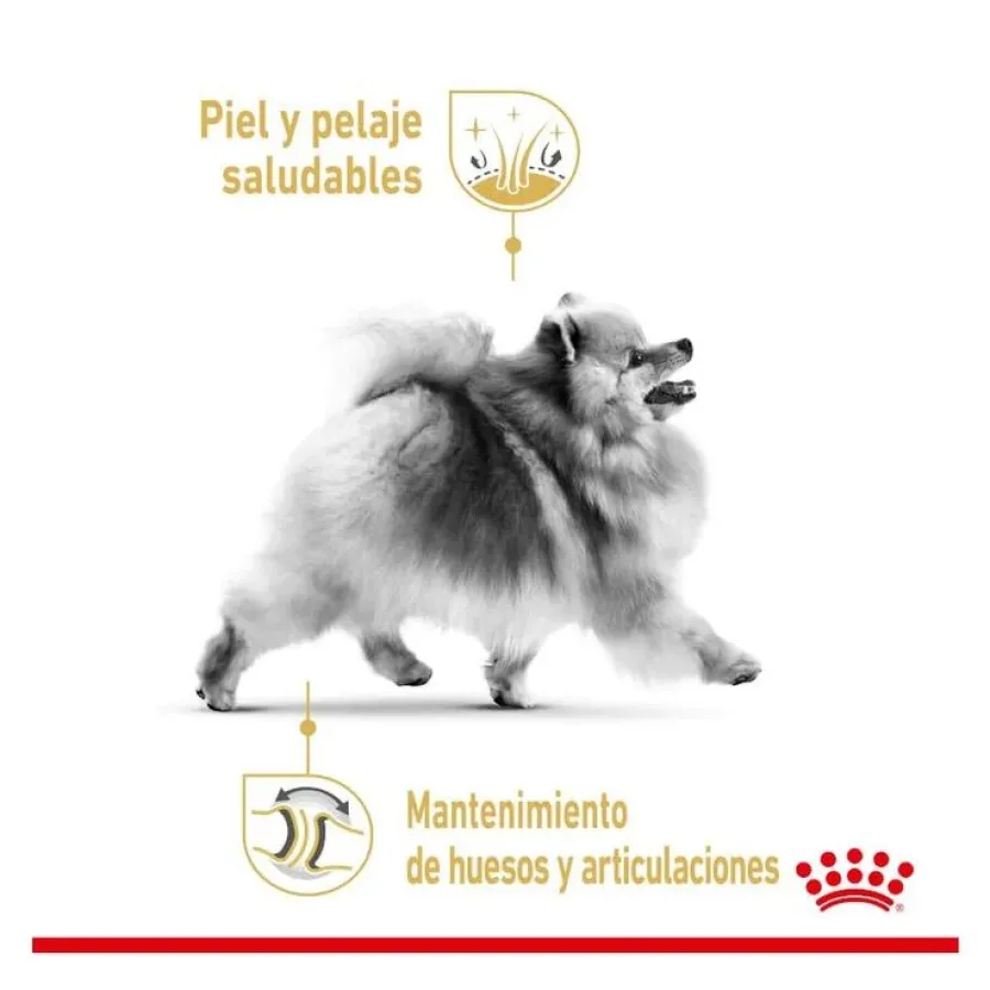 Royal Canin Pomeranian Adult pienso para perros