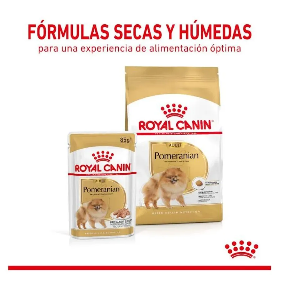 Royal Canin Pomeranian Adult pienso para perros