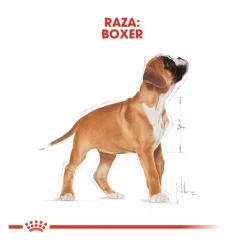 Royal Canin Puppy Boxer pienso para cachorros Discount