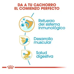 Royal Canin Puppy Boxer pienso para cachorros Discount
