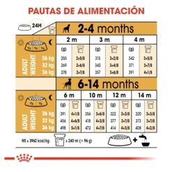 Royal Canin Puppy Boxer pienso para cachorros Discount