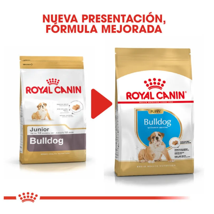 Royal Canin Puppy Bulldog pienso para cachorros Clearance