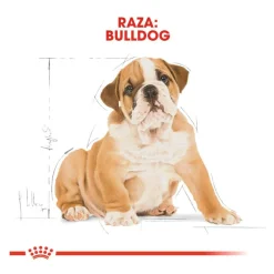 Royal Canin Puppy Bulldog pienso para cachorros Clearance