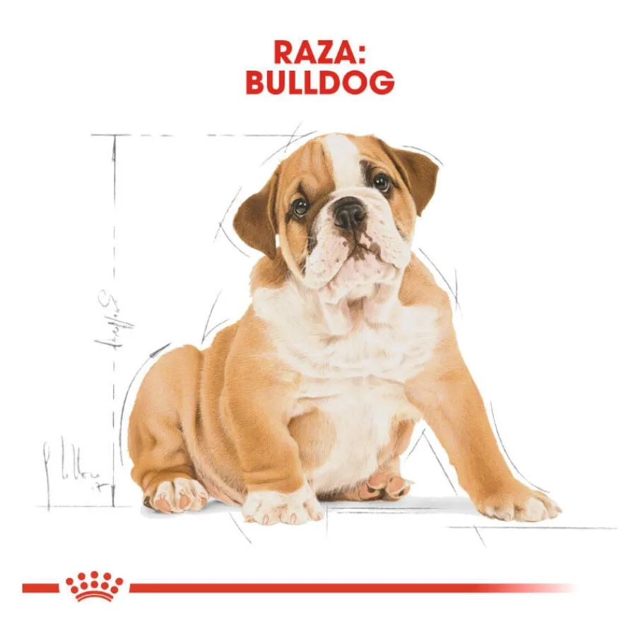 Royal Canin Puppy Bulldog pienso para cachorros Clearance