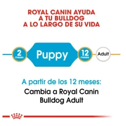 Royal Canin Puppy Bulldog pienso para cachorros Clearance