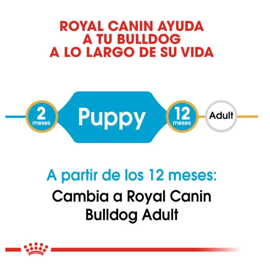 Royal Canin Puppy Bulldog pienso para cachorros Clearance