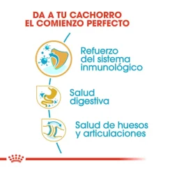 Royal Canin Puppy Bulldog pienso para cachorros Clearance