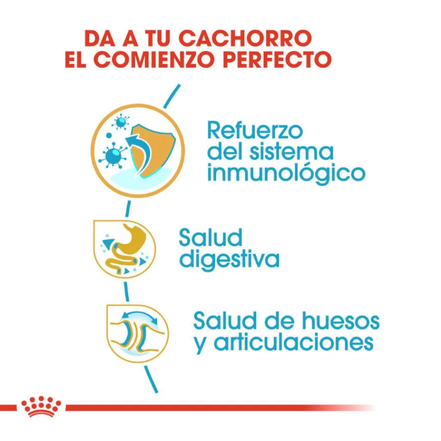 Royal Canin Puppy Bulldog pienso para cachorros Clearance