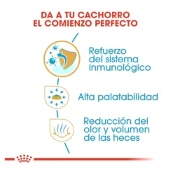 Royal Canin Puppy Chihuahua pienso para cachorros Clearance